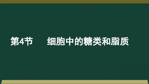 江西省新余市第四中学高三一轮复习生物必修一课件：第2章第4节细胞中的糖类和脂质(共28张PPT)
