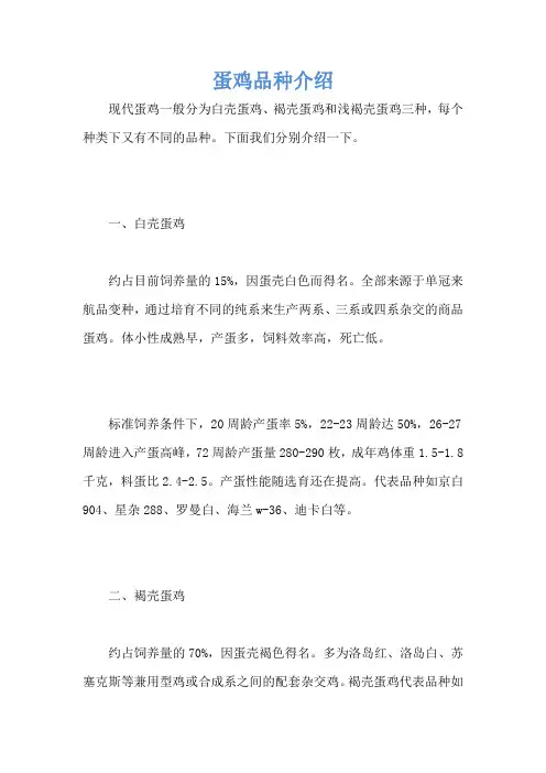 蛋鸡品种介绍