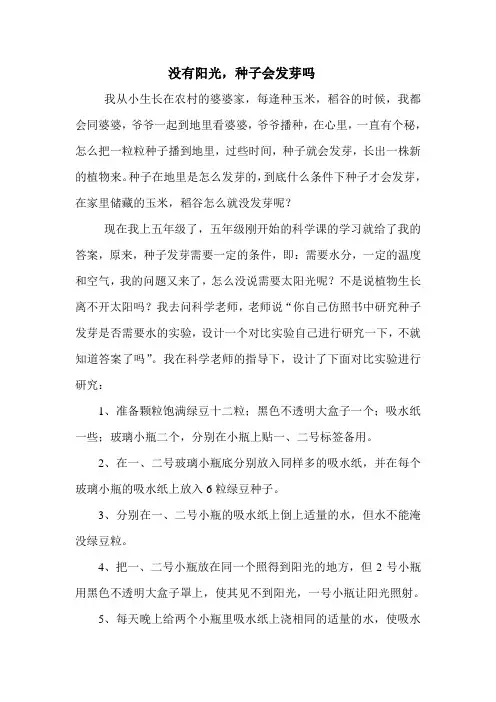 没有阳光,种子会发芽吗