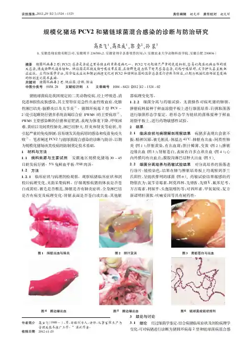 规模化猪场PCV2和猪链球菌混合感染的诊断与防治