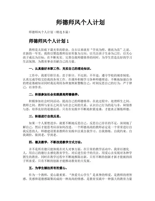 师德师风个人计划
