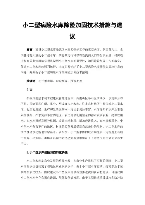 小二型病险水库除险加固技术措施与建议