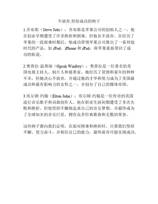 不放弃,坚持成功的例子