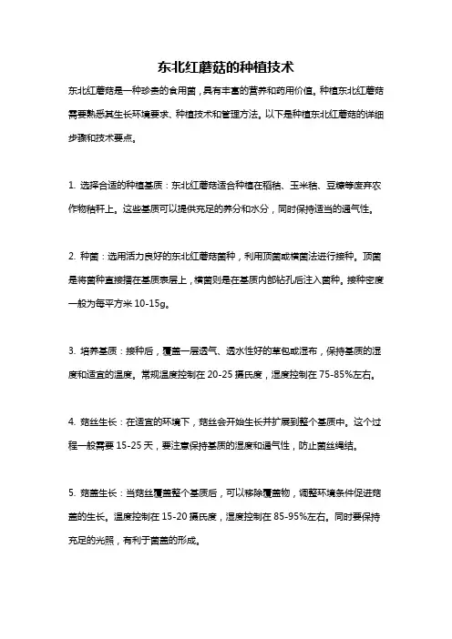 东北红蘑菇的种植技术