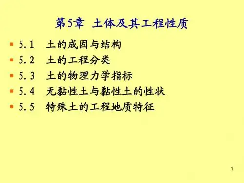 工程地质第5章 土体及其工程性质