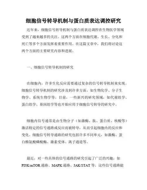 细胞信号转导机制与蛋白质表达调控研究