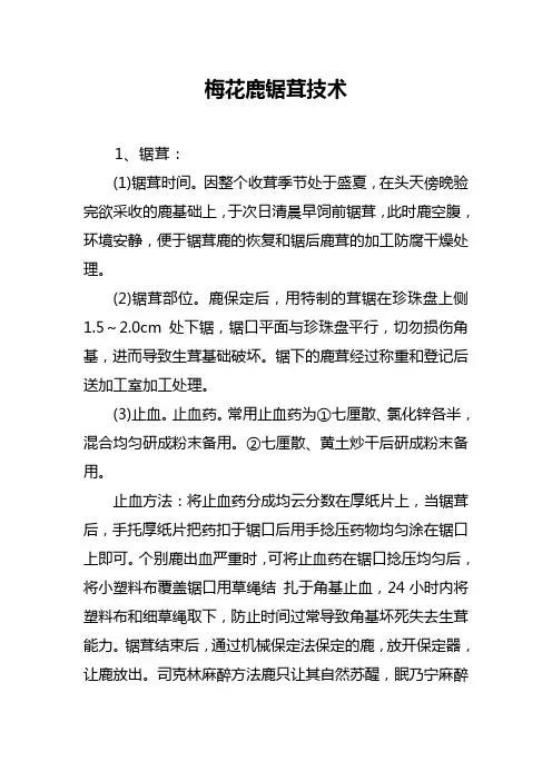 梅花鹿锯茸技术