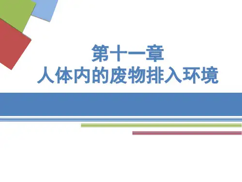 苏教版七年级下册生物 第一节 人体泌尿系统的组成 