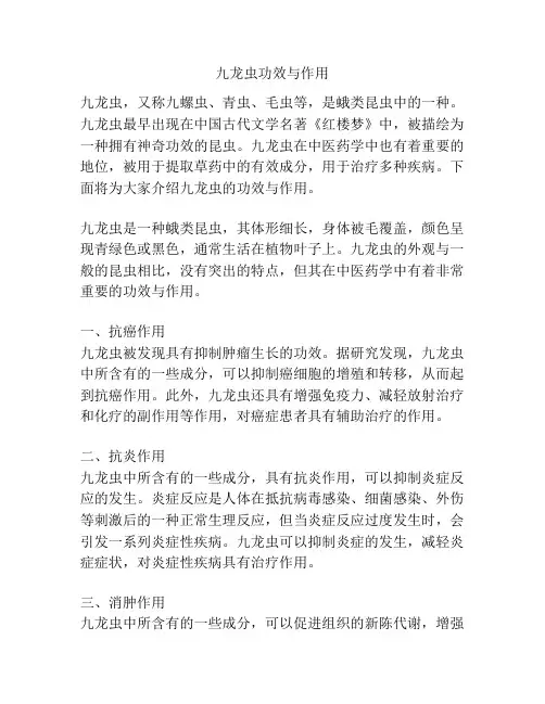 九龙虫功效与作用