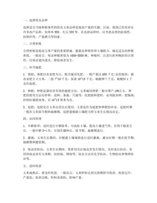 玉米的高产种植管理技术