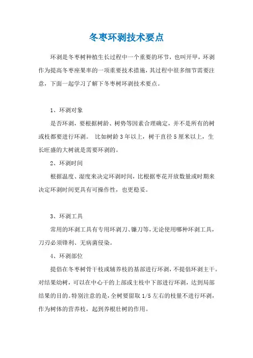 冬枣环剥技术要点