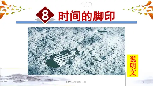 部编版语文八年级下学期第二单元8.时间的脚印ppt