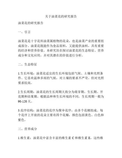关于油菜花的研究报告