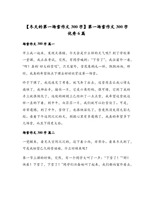 第一场雪作文300字优秀6篇