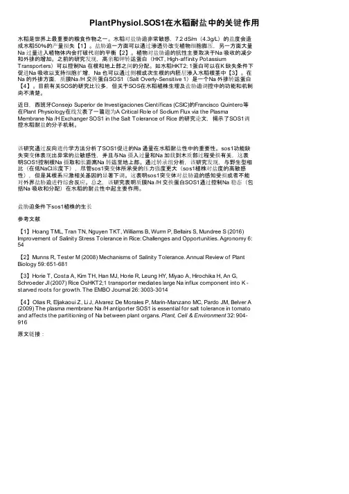 PlantPhysiol.SOS1在水稻耐盐中的关键作用
