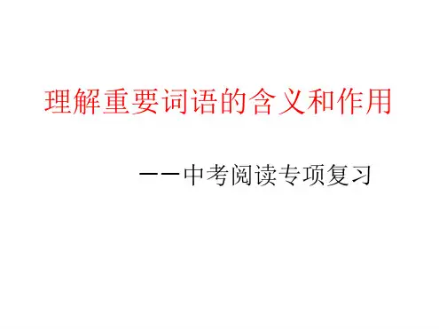 中考总复习之现代文阅读理解重点词句的含义和作用