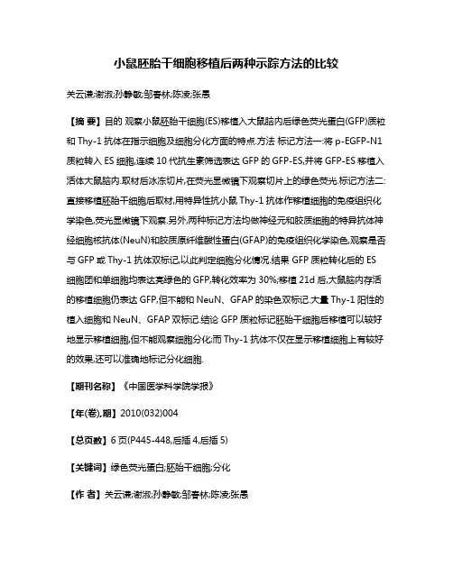 小鼠胚胎干细胞移植后两种示踪方法的比较