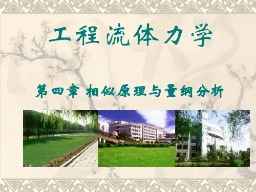 工程流体力学 第四章相似原理及量纲分析