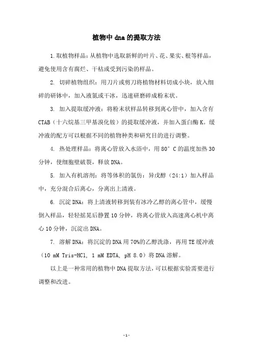 植物中dna的提取方法