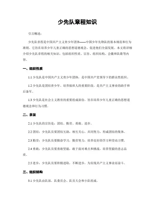 少先队章程知识