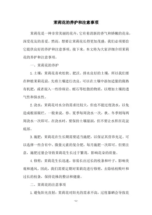 茉莉花的养护和注意事项