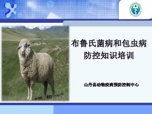 布病包虫病最新