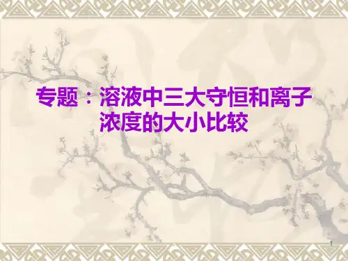 专题：溶液中三大守恒和离子浓度大小的比较PPT课件