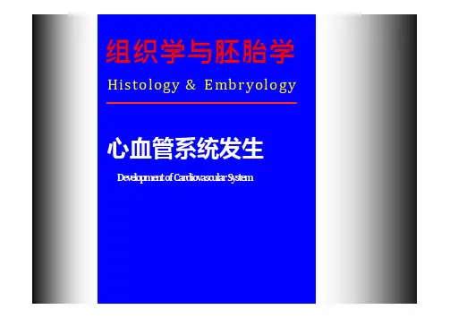 【课件-组织学与胚胎学】_25.心血管系统发生