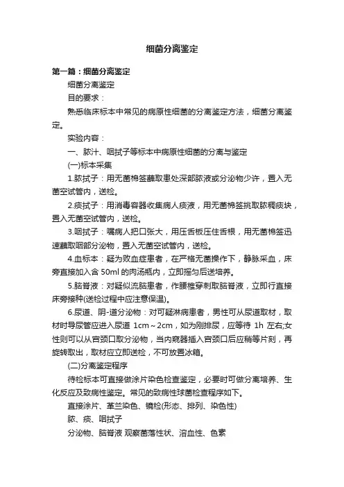细菌分离鉴定