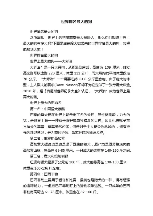 世界排名最大的狗