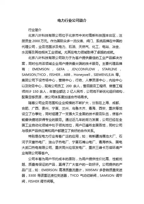 电力行业公司简介
