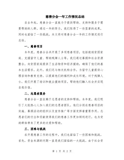 慈善分会一年工作情况总结