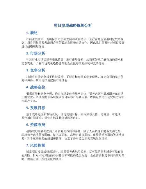 项目发展战略规划分析