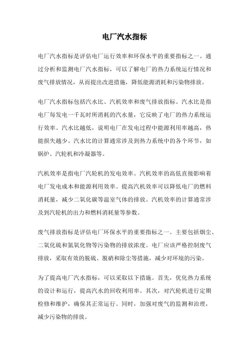 电厂汽水指标