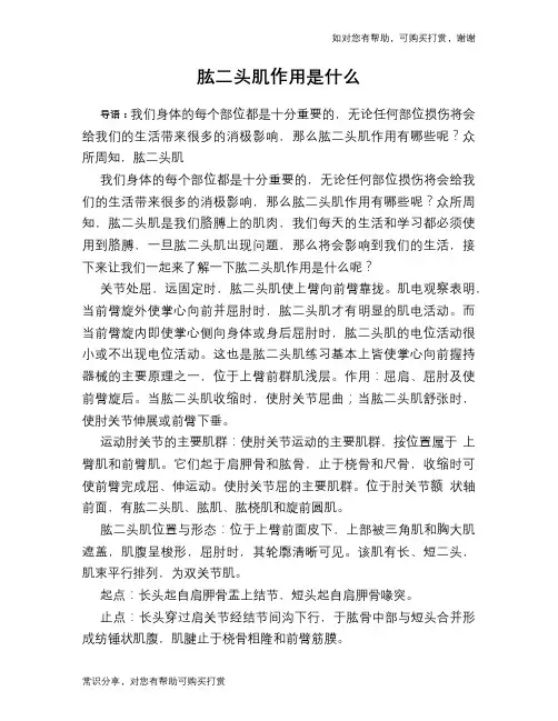 肱二头肌作用是什么