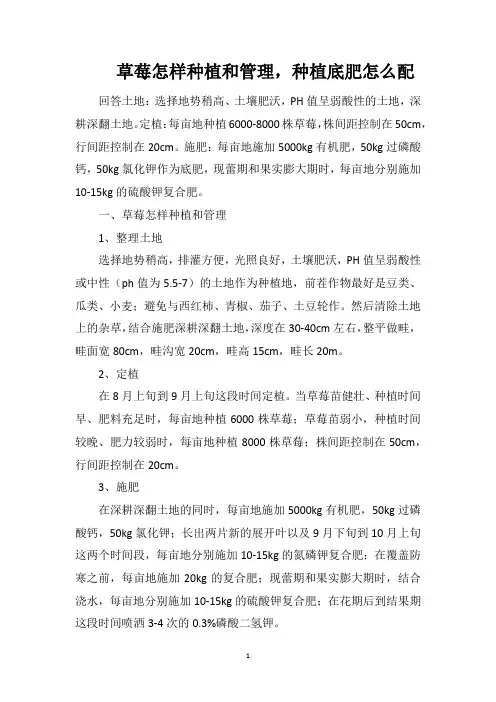 草莓怎样种植和管理,种植底肥怎么配