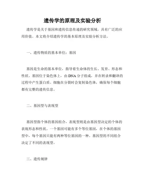 遗传学的原理及实验分析