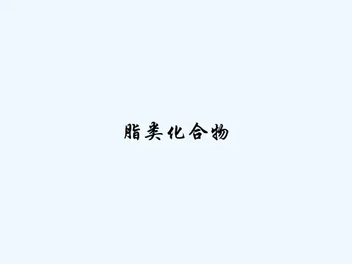 脂类化合物PPT