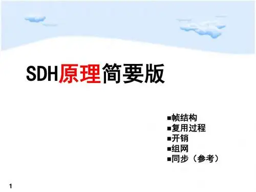 20-SDH原理讲解