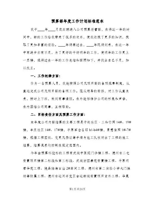 预算部年度工作计划标准范本(6篇)