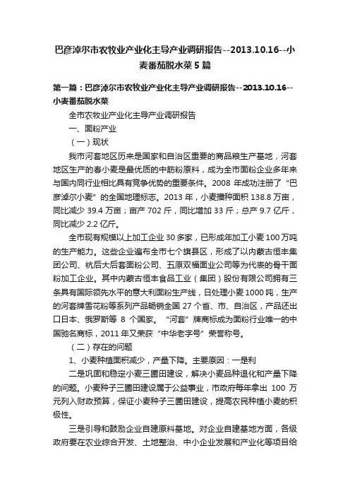 巴彦淖尔市农牧业产业化主导产业调研报告--2013.10.16--小麦番茄脱水菜5篇