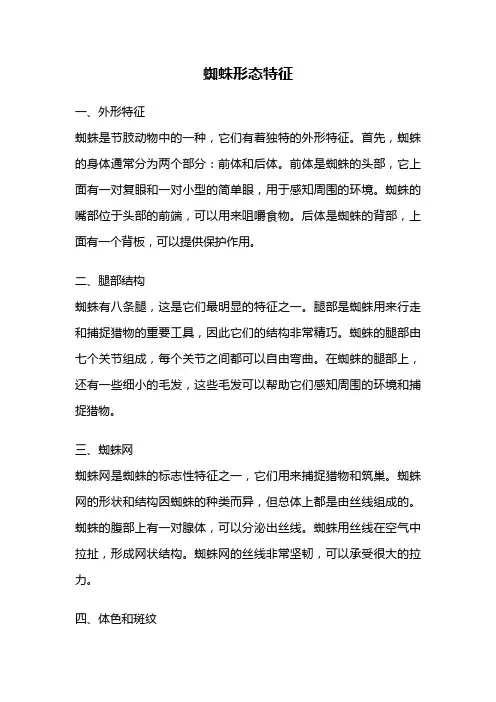 蜘蛛形态特征