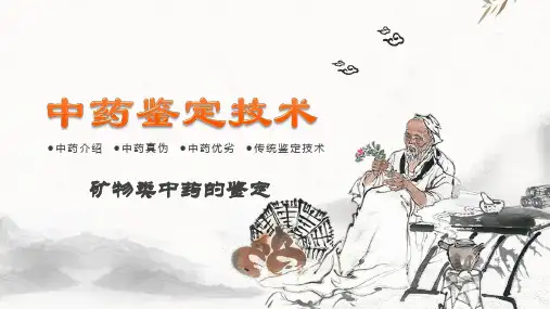矿物类中药的鉴定—矿物类中药的鉴定