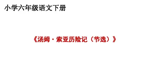 六年级语文下册《汤姆索亚历险记(节选)》