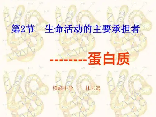 人教版高中生物必修一第二章第二节《生命活动的主要承担者--蛋白质》ppt课件