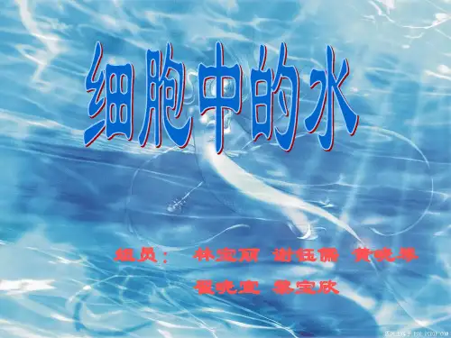 细胞中的水(4).ppt