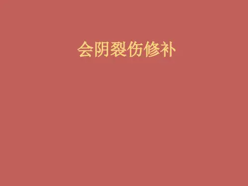 会阴裂伤修补精选幻灯片