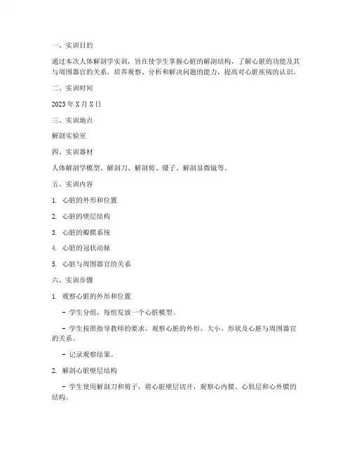 人体解剖学心实训报告