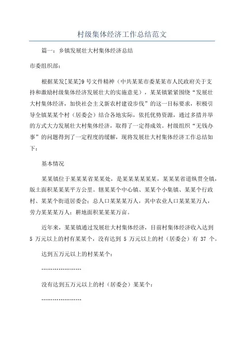 村级集体经济工作总结范文