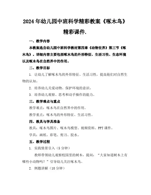 2024年幼儿园中班科学精彩教案《啄木鸟》精彩课件.